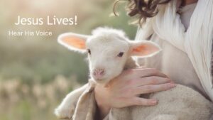 Hear His Voice - Lamb Holy Cross Day (observed)