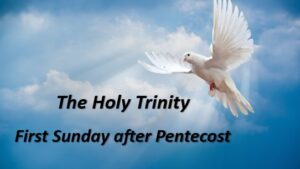 Holy Trinity Holy Cross Day (observed)
