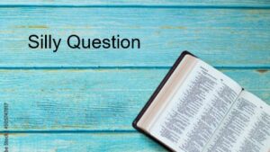 Holy Cross Day (observed)